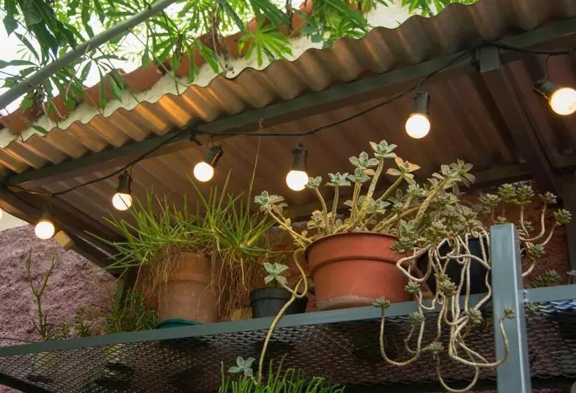 Feliza Hostel