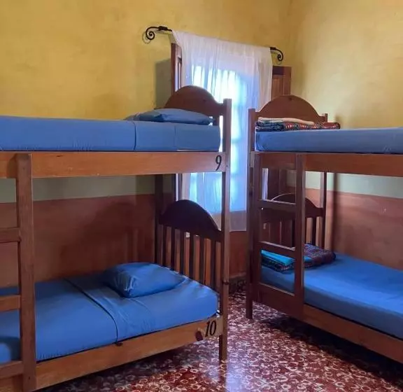 Hostel Iguana Azul