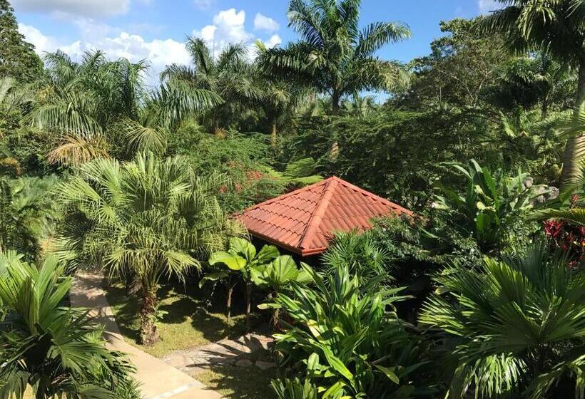 منتجع Paradise Hot Springs