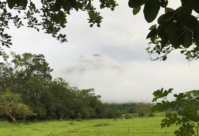 منتجع Paradise Hot Springs