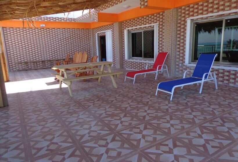 تختخواب و صبحانه Enjoy