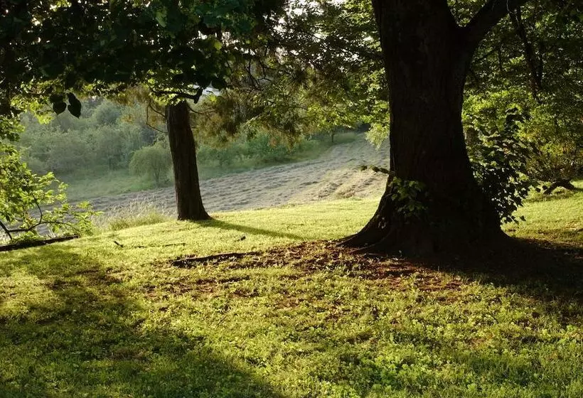 Clos Mirabel Manor   B&b