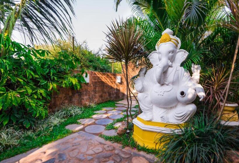 Bed and Breakfast Fiesta Beach Resort