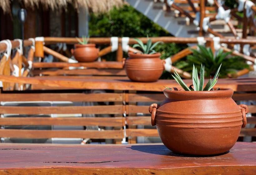 Hotel Para Ti Adults Only