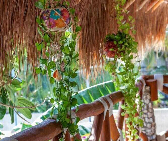 Hotel Para Ti Adults Only