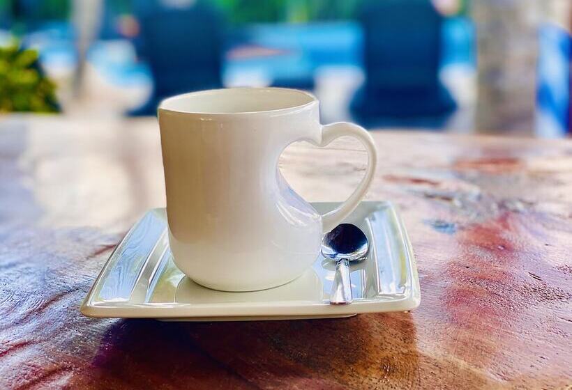 Hotel Para Ti Adults Only