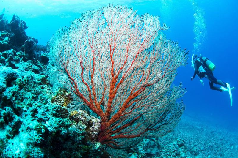 Resort Kerama Terrace