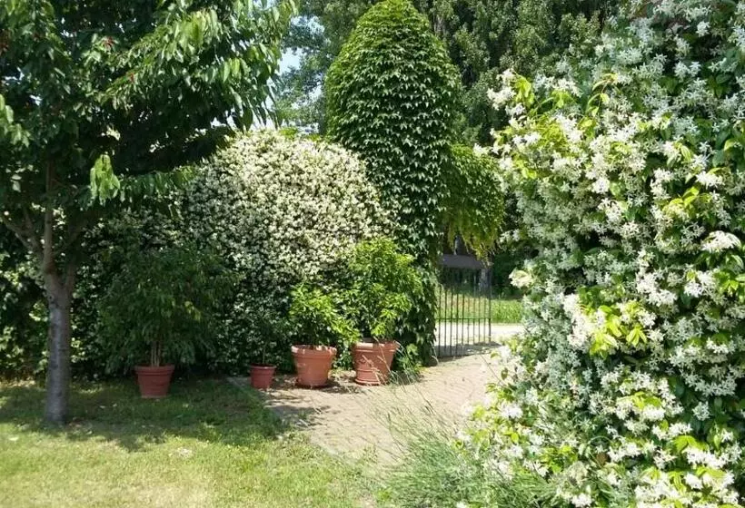 ベッドアンドブレックファースト Agriturismo San Bruno