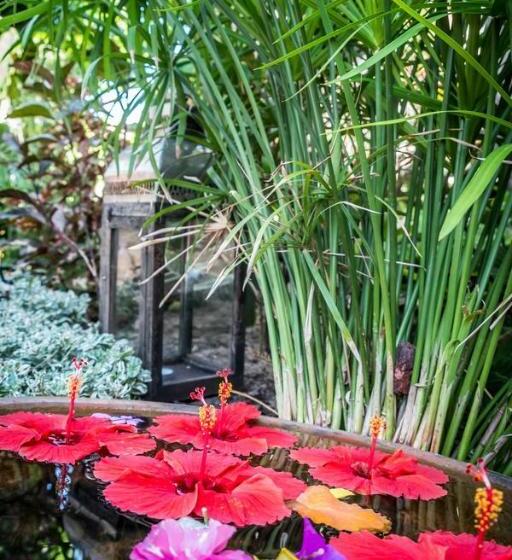 צימר Baia Sonambula