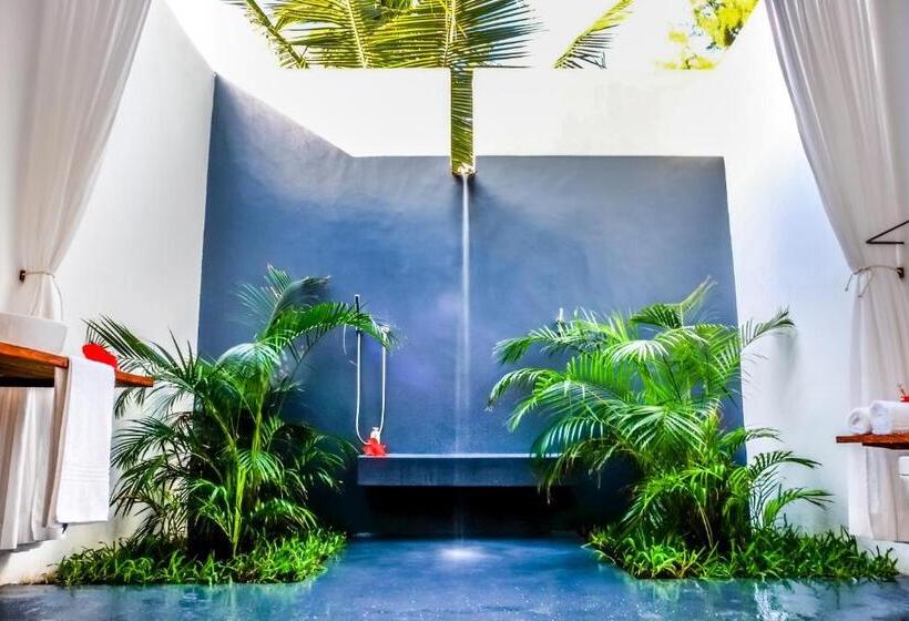 צימר Baia Sonambula