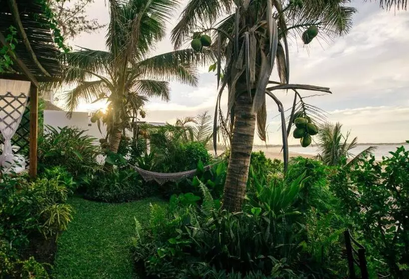 Aamiaismajoitus (B&B) Baia Sonambula