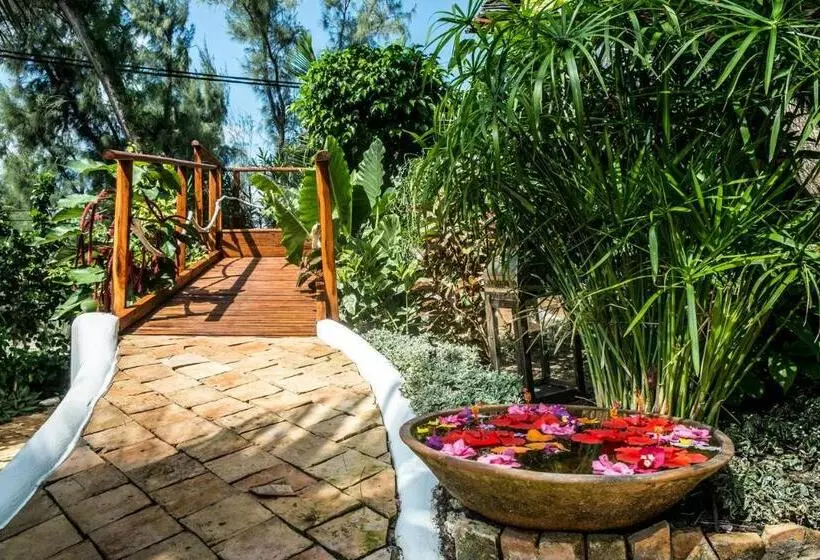 Aamiaismajoitus (B&B) Baia Sonambula