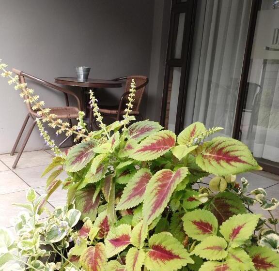 Ditsaleng Bed And Breakfast