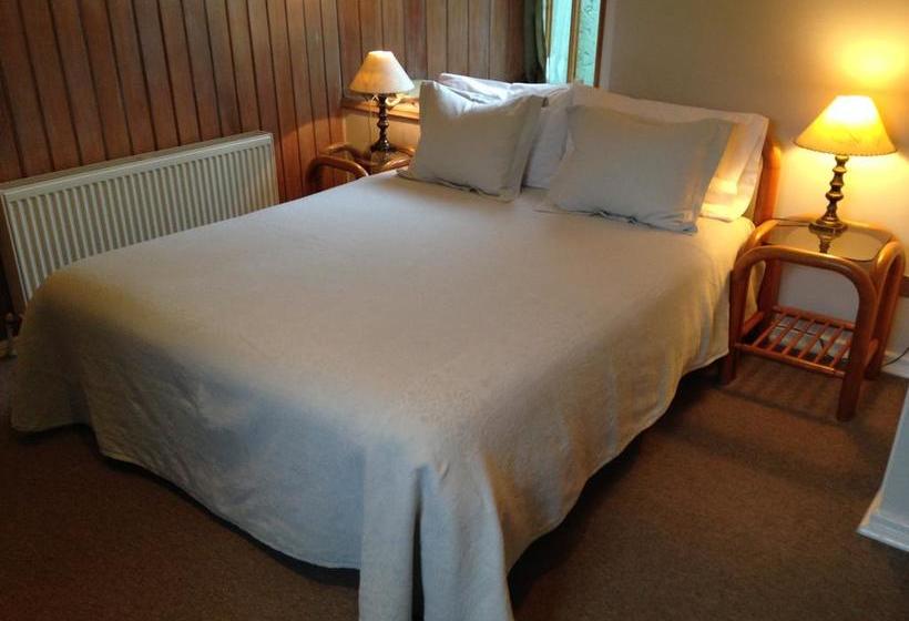 هتل Belisario Jara