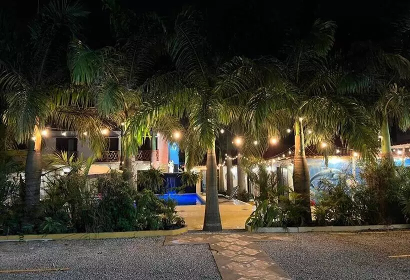 ホテル Berlín International