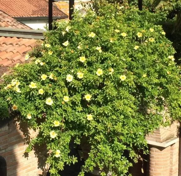 Hotelli Dama Estense