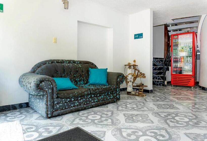 בית מלון כפרי Neiva Providencia