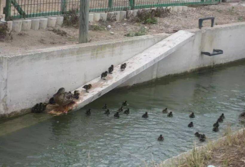 Hotel Mediterrani Blau