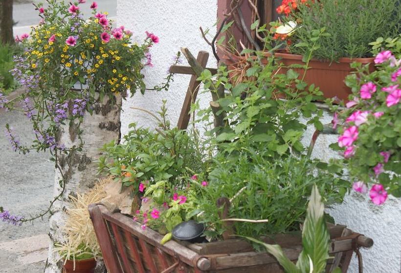 Отель Pension Und Restaurant Die Burg