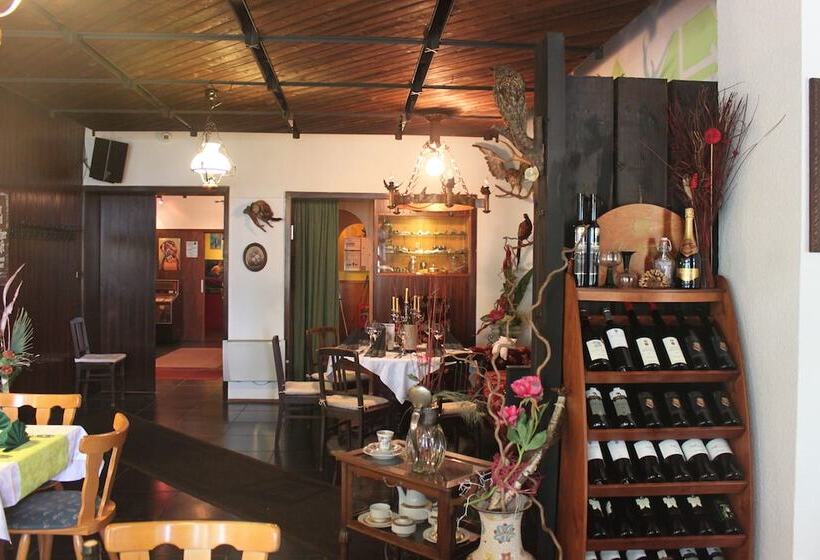Отель Pension Und Restaurant Die Burg