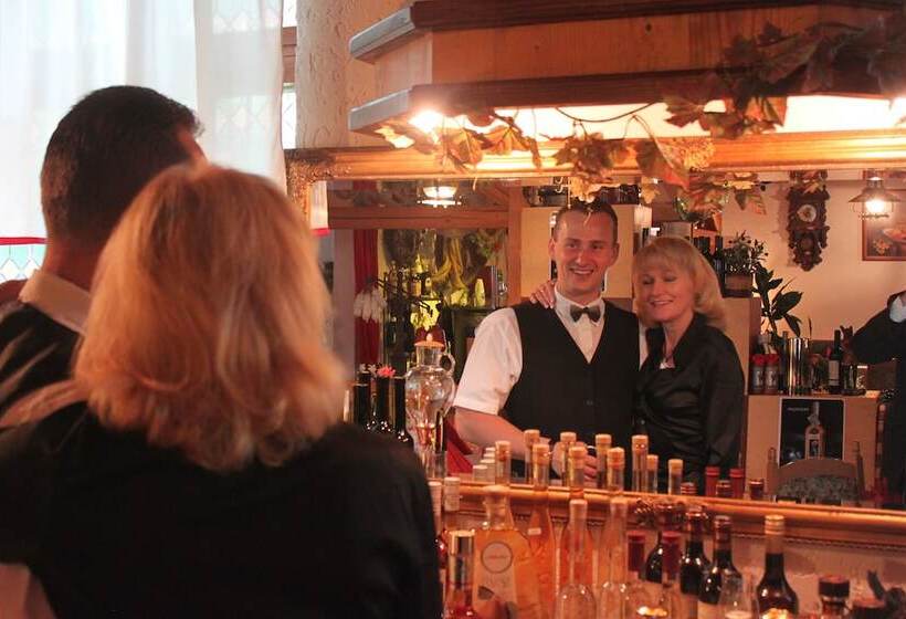 Отель Pension Und Restaurant Die Burg