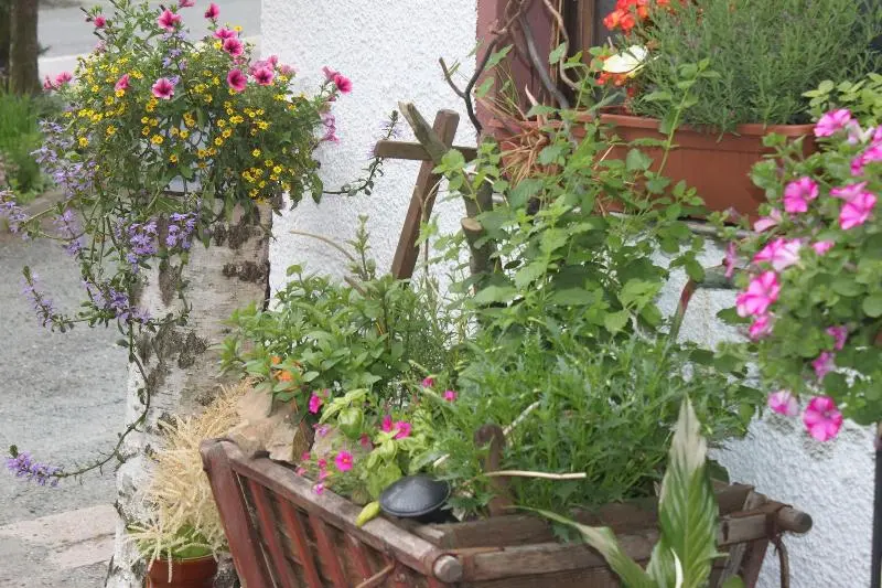 ホテル Pension Und Restaurant Die Burg