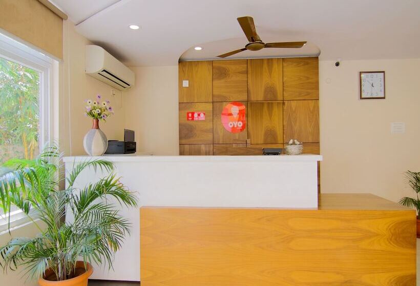 בית מלון כפרי The Stay Inn