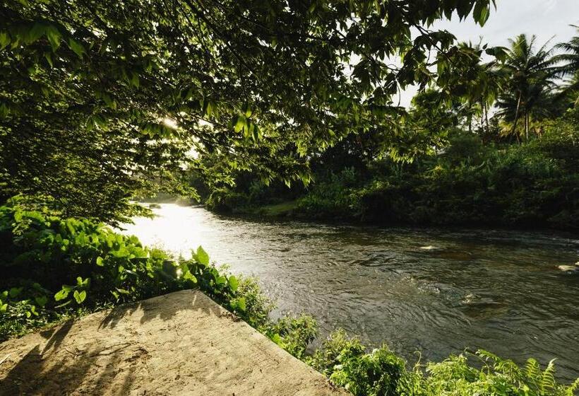 渡假胜地 Sterling Anaikatti