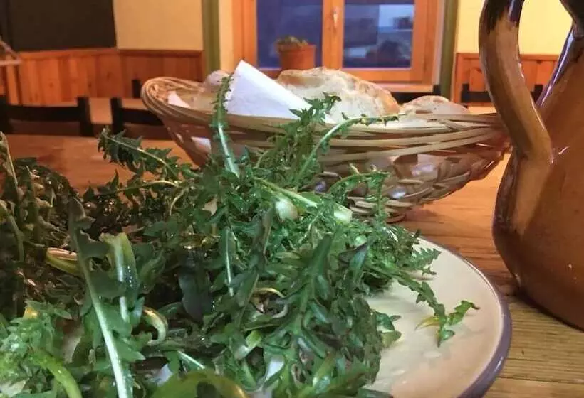 Xalet Refugi U.e.c.   Hostel