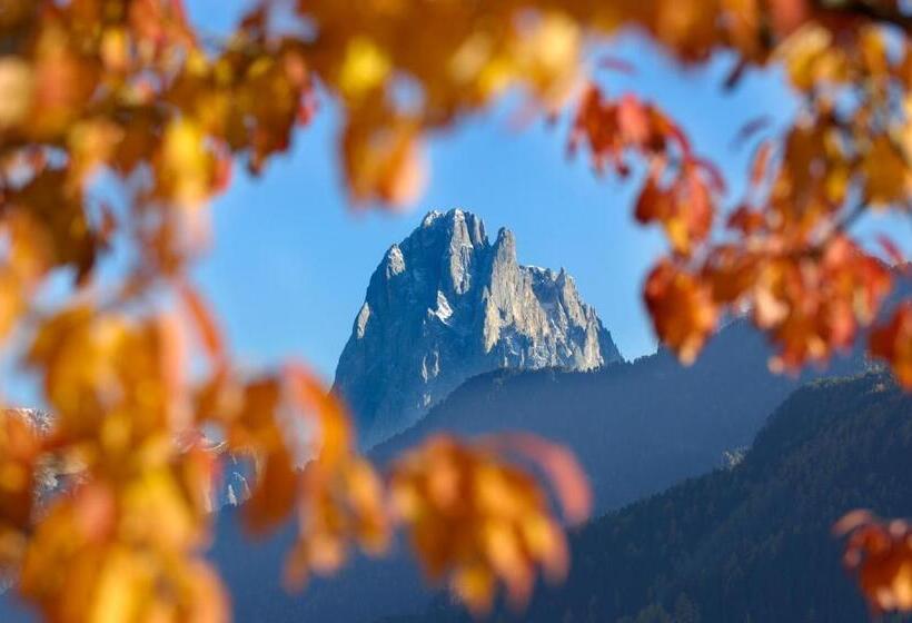 בית מלון כפרי La Truga