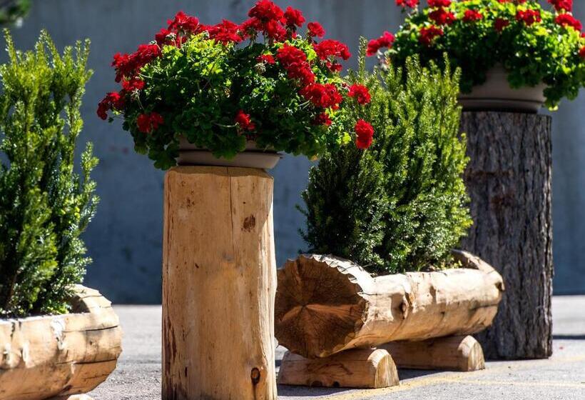 בית מלון כפרי La Truga