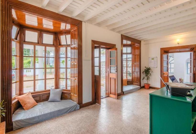 فندق صغير Zostel Ooty