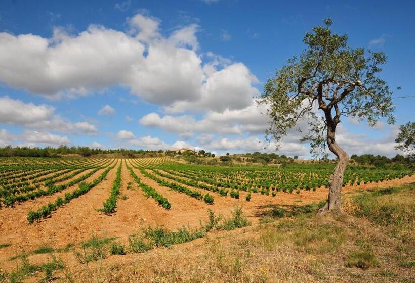 민박 Maison Matisse