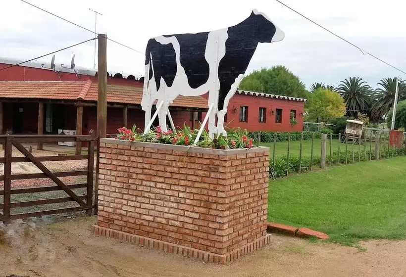 ホテル Estancia Renacimiento