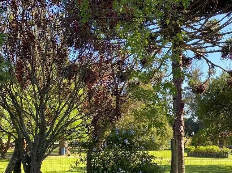 ホテル Estancia Renacimiento