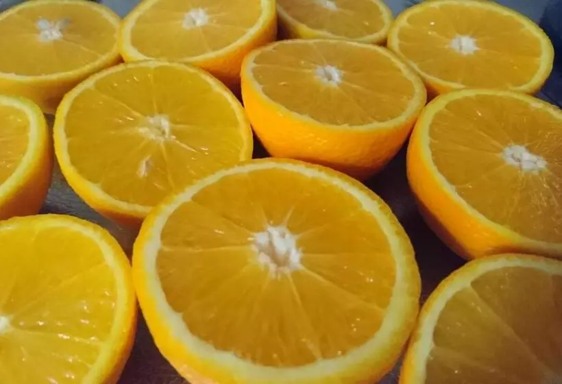 B&b Verwoldsehof  Op De Deel