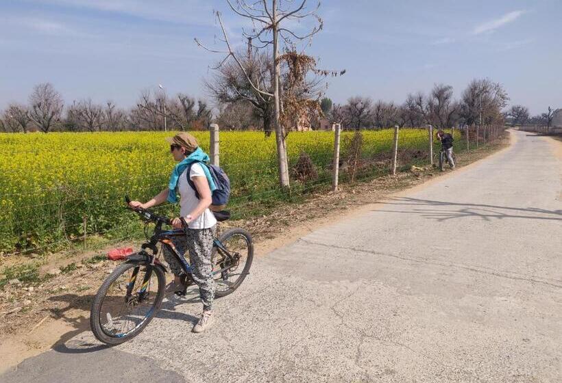 住宿加早餐 Tourist Pension