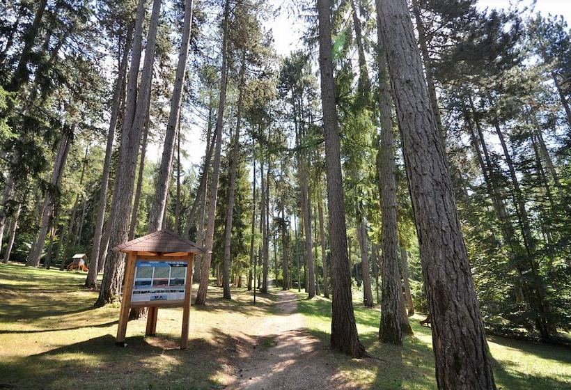 ホテル La Trifora