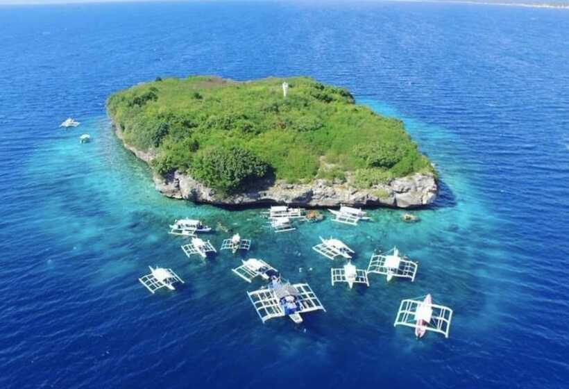 Parrot Resort Moalboal