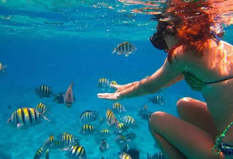 Parrot Resort Moalboal