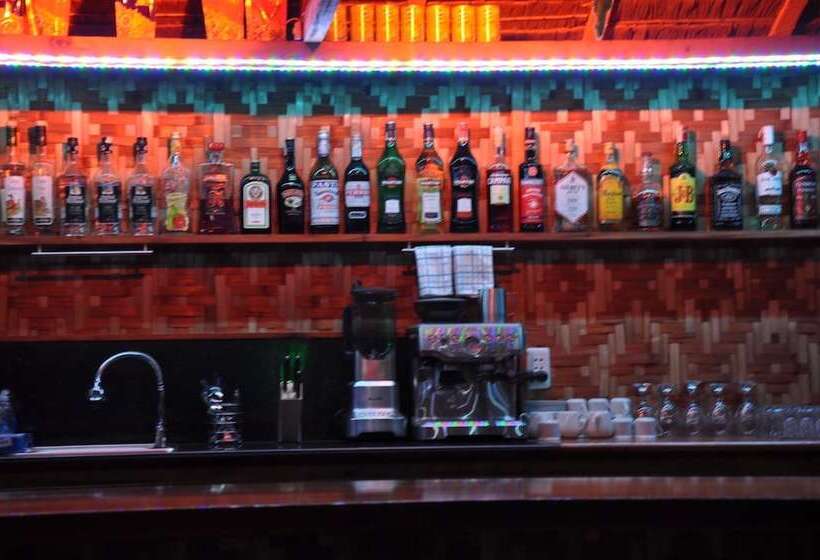 Parrot Resort Moalboal