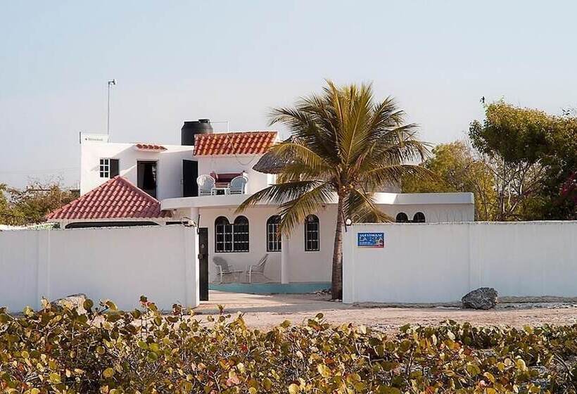هاستل Guesthouse Villa La Isla