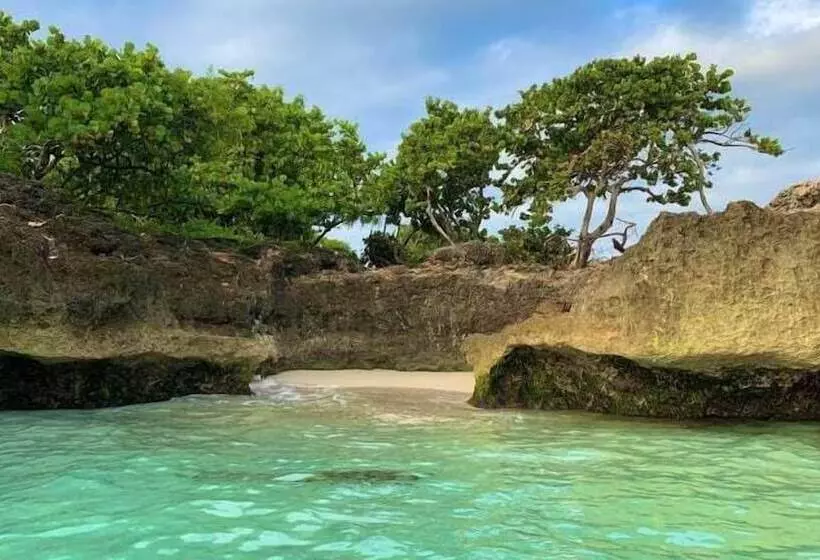 هاستل Guesthouse Villa La Isla