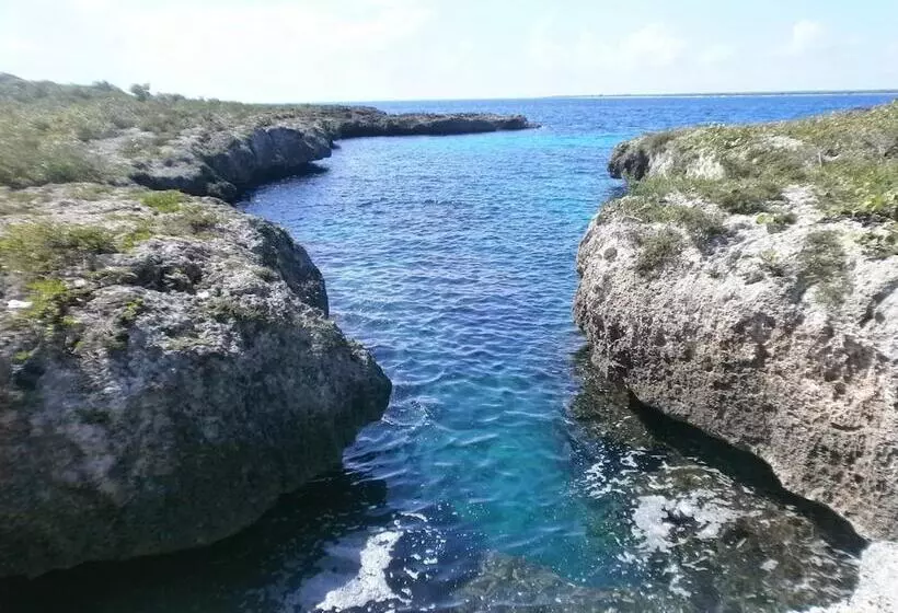 هاستل Guesthouse Villa La Isla