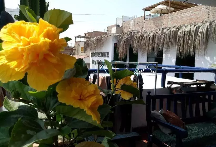 هاستل My Friend Surf Hostal