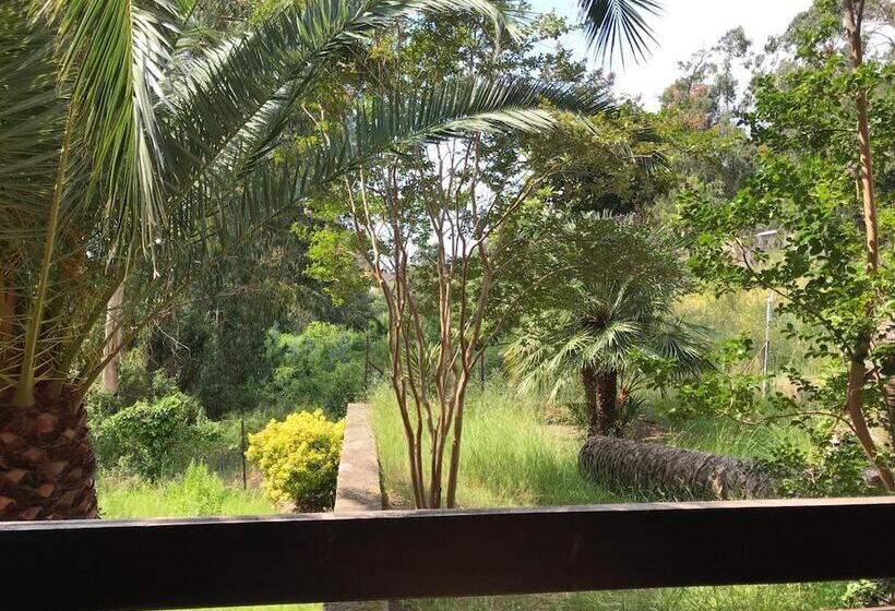 ホテル Corsica   Porto Corse