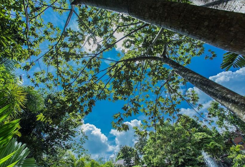 בית מלון כפרי Starwell Garden Home Resort