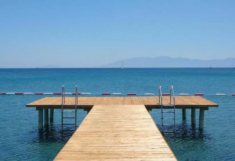 Liv Hotel By Bellazure