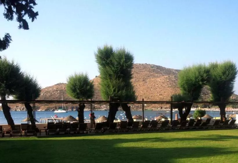 Liv Hotel By Bellazure