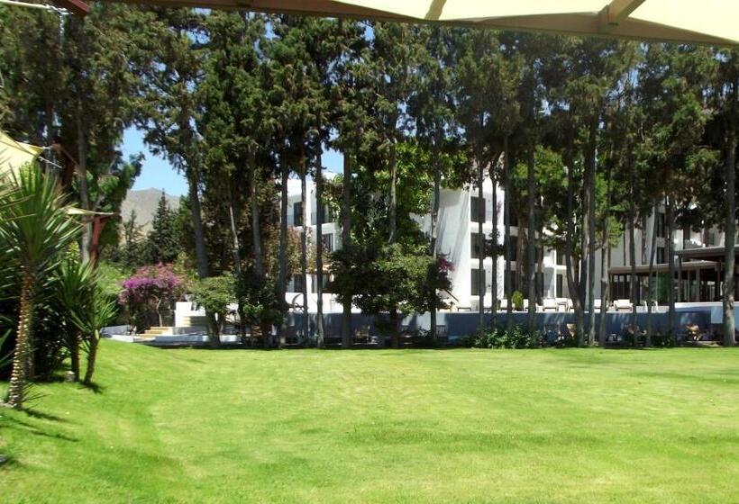 Liv Hotel By Bellazure